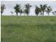Roma QLD 4455
