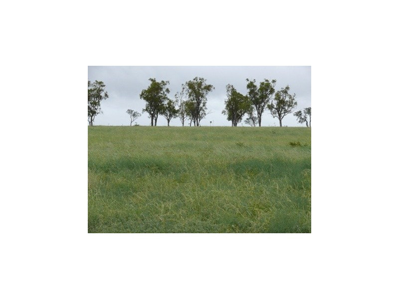 Roma QLD 4455