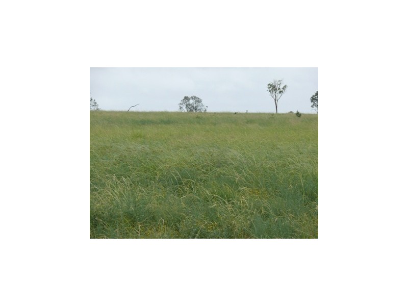 Roma QLD 4455
