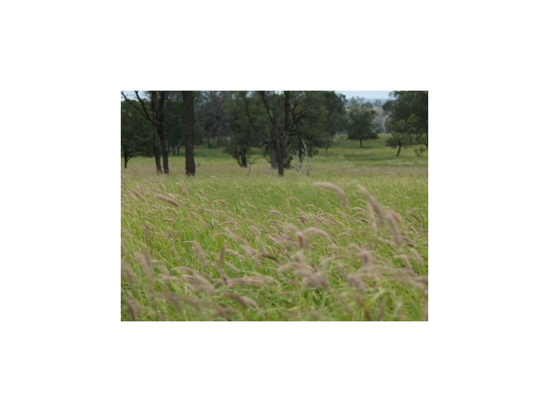 Injune QLD 4454