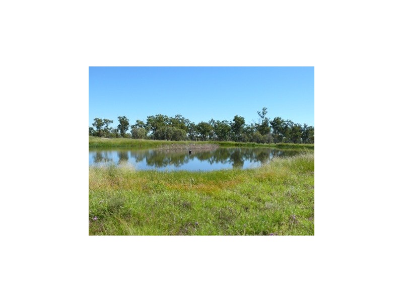 Injune QLD 4454