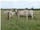 Injune QLD 4454