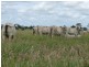 Injune QLD 4454