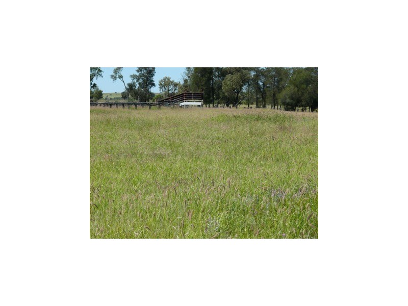 Injune QLD 4454