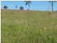 Injune QLD 4454