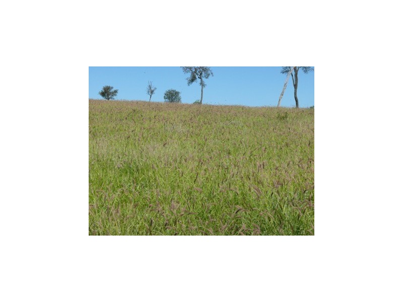 Injune QLD 4454