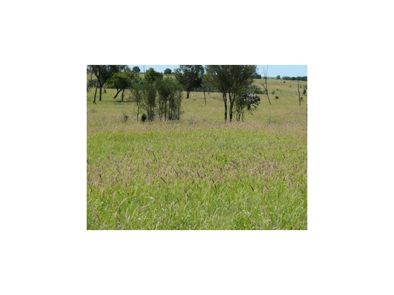 Injune QLD 4454