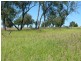 Injune QLD 4454