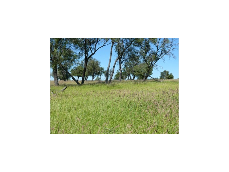 Injune QLD 4454