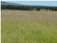 Injune QLD 4454