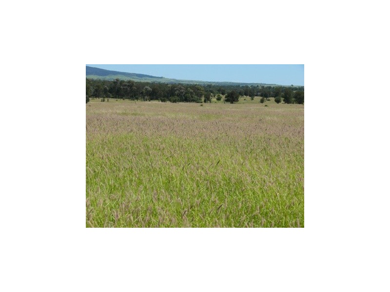 Injune QLD 4454