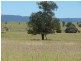 Injune QLD 4454