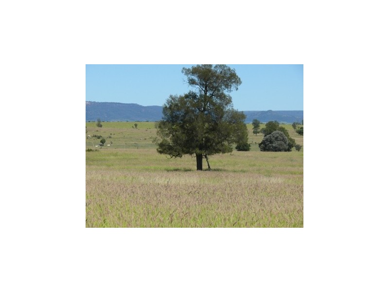 Injune QLD 4454