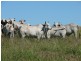 Injune QLD 4454
