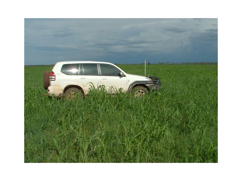 Goondiwindi QLD 4390