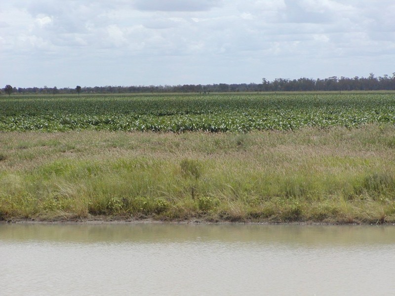 Goondiwindi QLD 4390