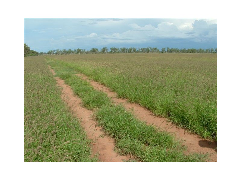 Goondiwindi QLD 4390