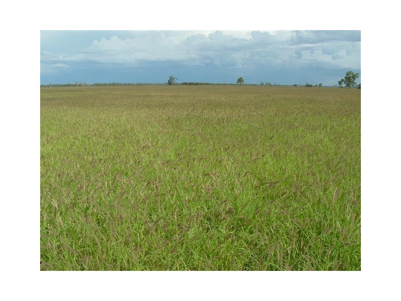 Goondiwindi QLD 4390