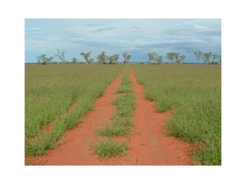 Goondiwindi QLD 4390