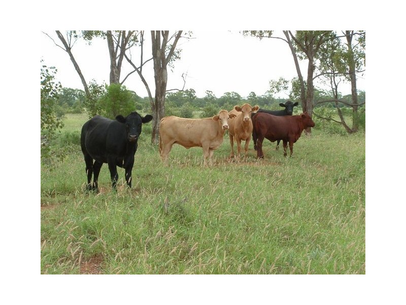 Goondiwindi QLD 4390