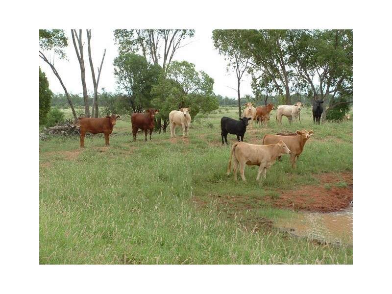 Goondiwindi QLD 4390