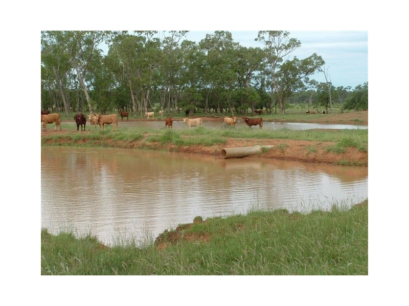 Goondiwindi QLD 4390