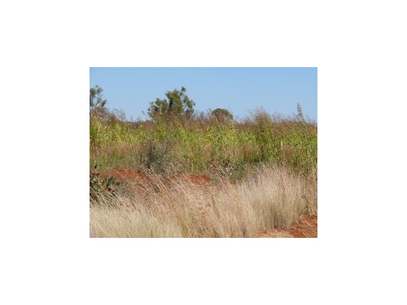 ` Loch Lomond, Mitchell QLD 4465