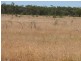 ` Loch Lomond, Mitchell QLD 4465