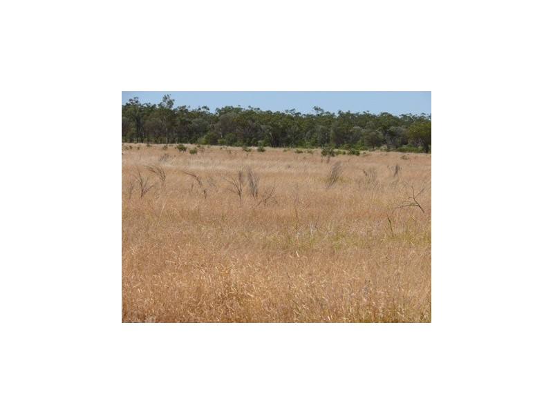 ` Loch Lomond, Mitchell QLD 4465
