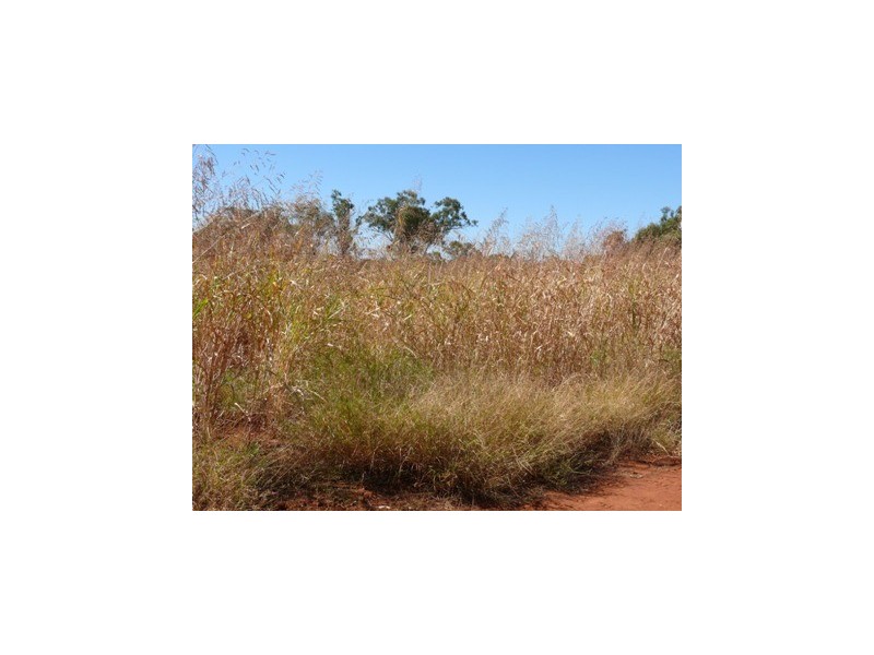 ` Loch Lomond, Mitchell QLD 4465