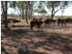 ` Loch Lomond, Mitchell QLD 4465