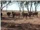 ` Loch Lomond, Mitchell QLD 4465