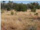 ` Loch Lomond, Mitchell QLD 4465