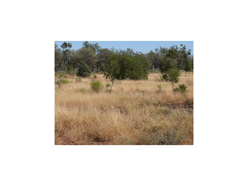 ` Loch Lomond, Mitchell QLD 4465