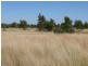 ` Loch Lomond, Mitchell QLD 4465