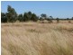 ` Loch Lomond, Mitchell QLD 4465