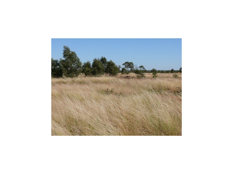 ` Loch Lomond, Mitchell QLD 4465