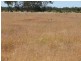 ` Loch Lomond, Mitchell QLD 4465