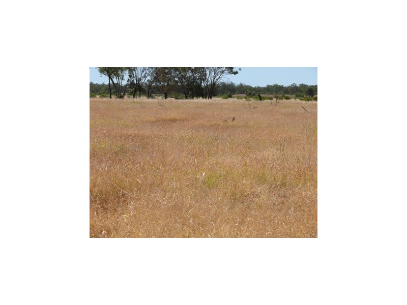 ` Loch Lomond, Mitchell QLD 4465