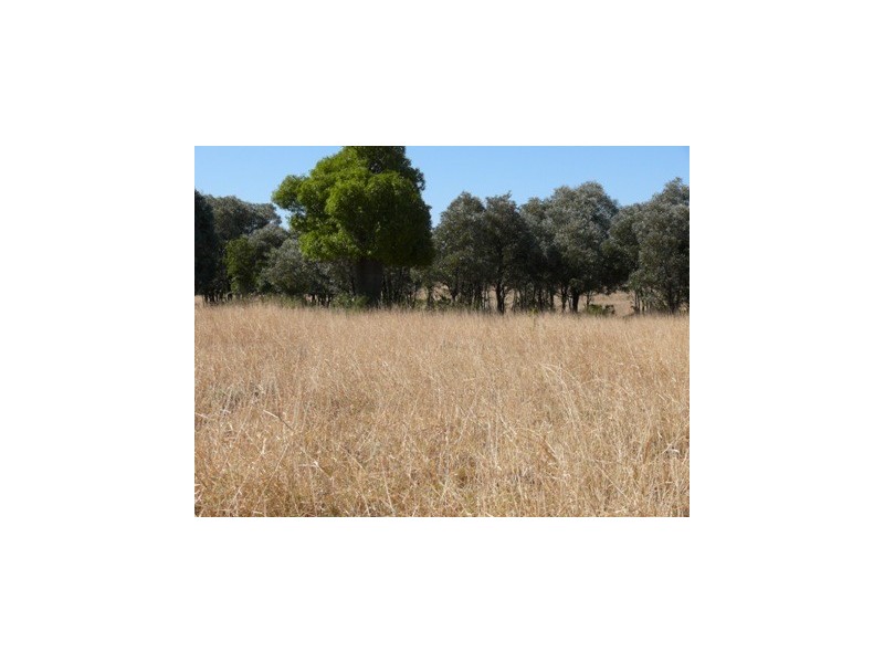 Wallumbilla QLD 4428