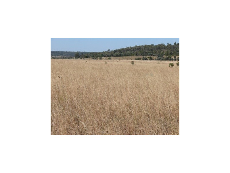 Wallumbilla QLD 4428