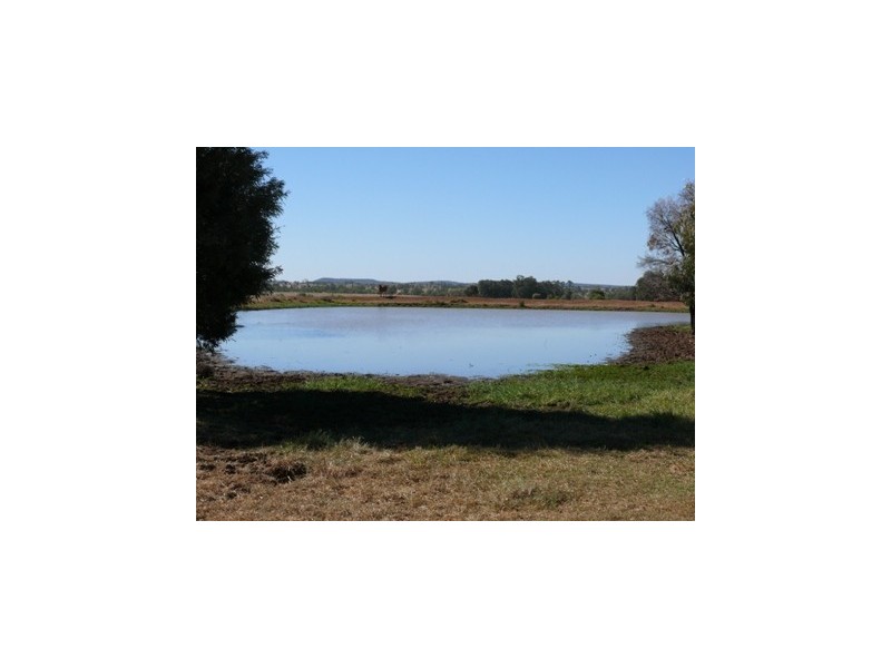 Wallumbilla QLD 4428