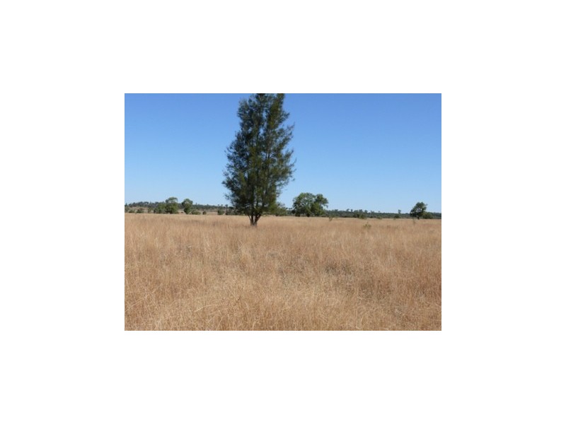 Wallumbilla QLD 4428