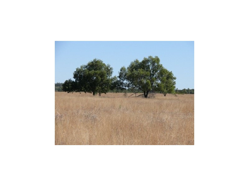 Wallumbilla QLD 4428