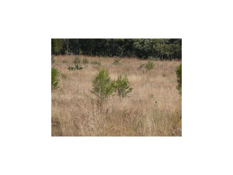 Wallumbilla QLD 4428