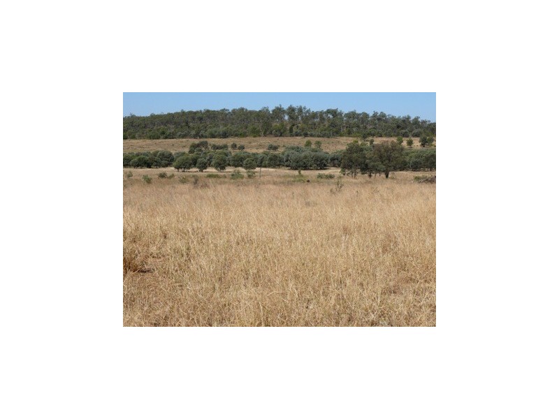 Wallumbilla QLD 4428