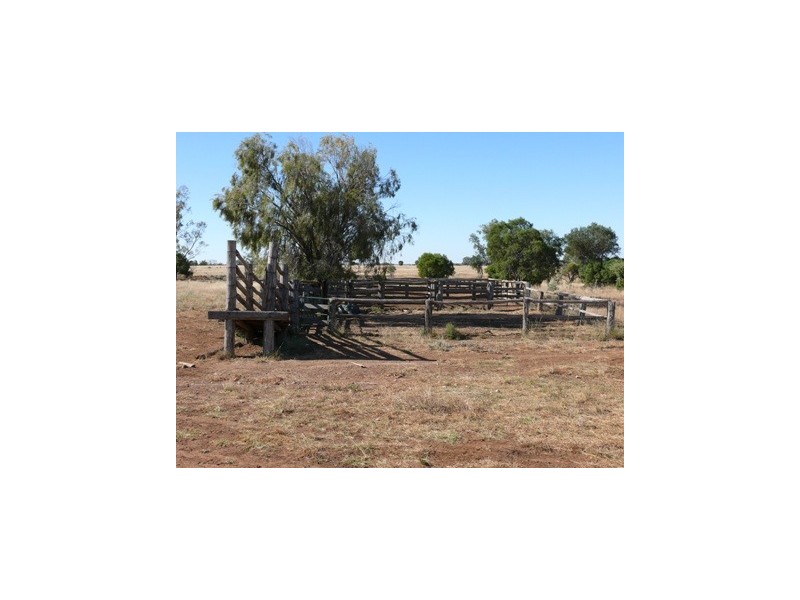 Wallumbilla QLD 4428