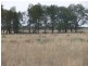 ” Lyndock “, Surat QLD 4417