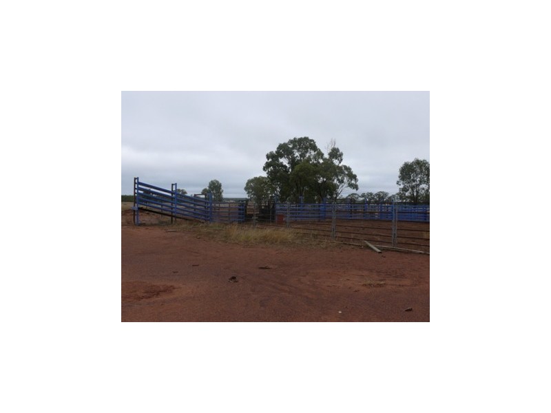 ” Lyndock “, Surat QLD 4417