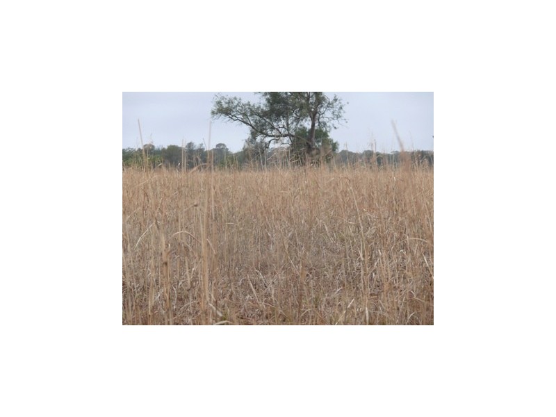 ” Lyndock “, Surat QLD 4417